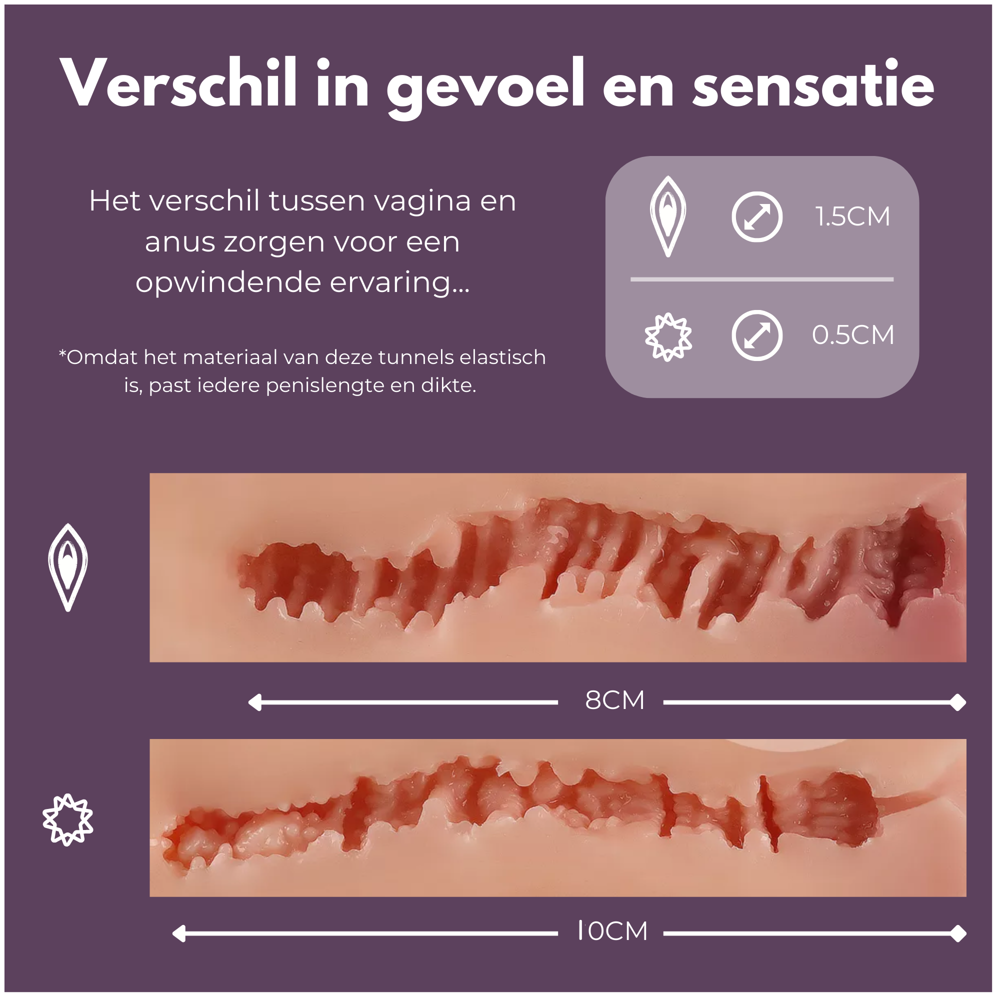 Verschil anus en vagina kanaal met doorsnede van sexpop