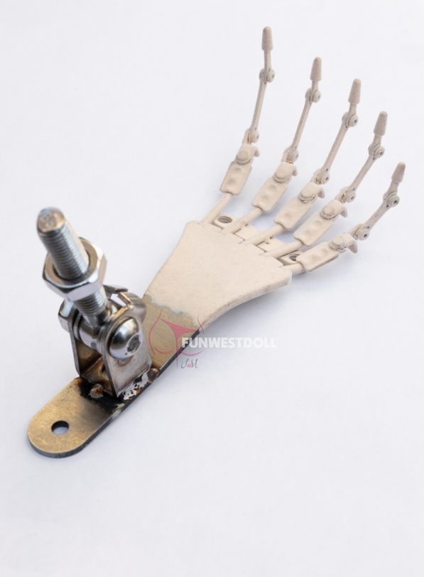 Articulated toes, tenen met skeletstructuur