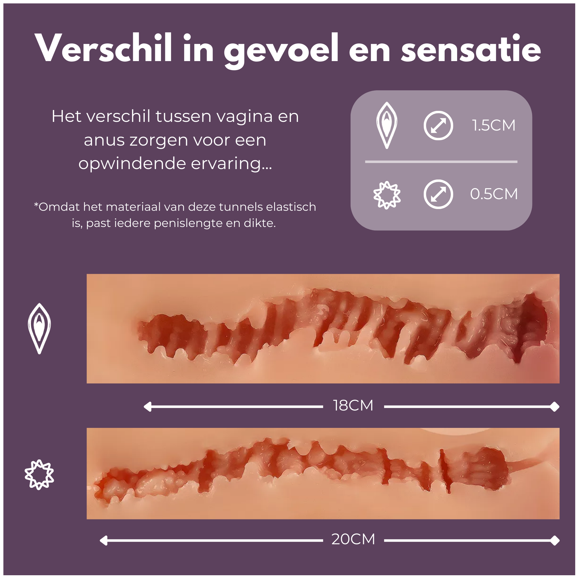 Sex Doll Lola vagina en anus doorsnee