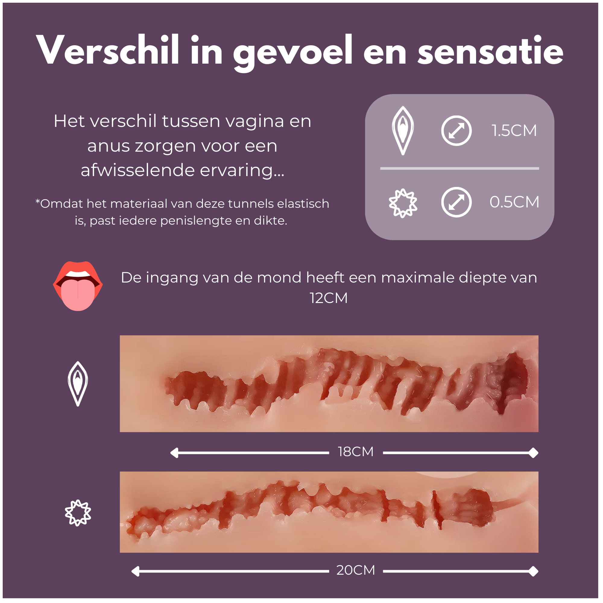 Overzicht kanalen en ingangen van sexpop anne