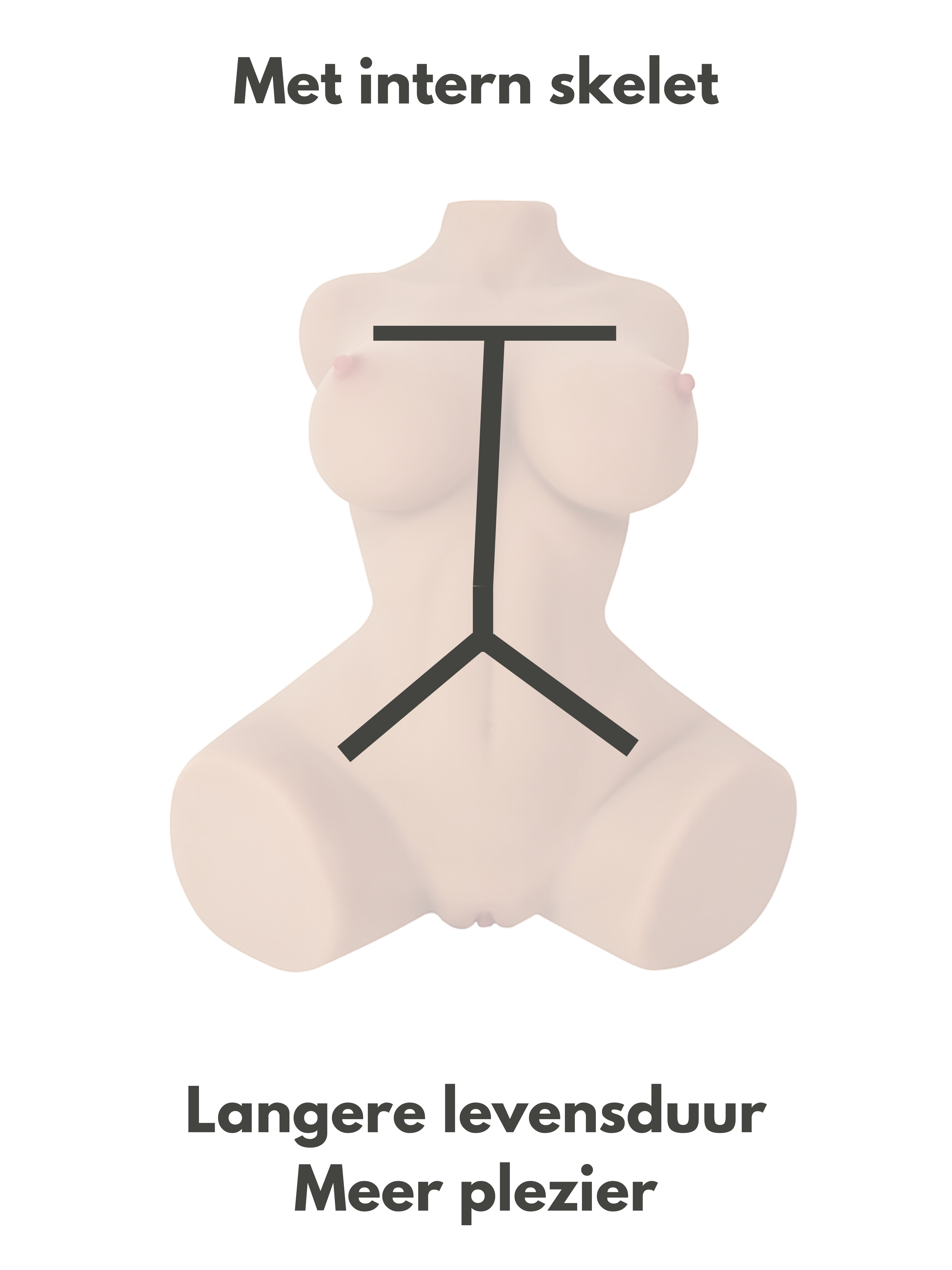 sekspop rachelle overzicht van intern skelet